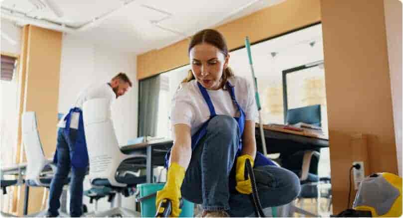 Where Cleanliness meets Care Services - 新球体育